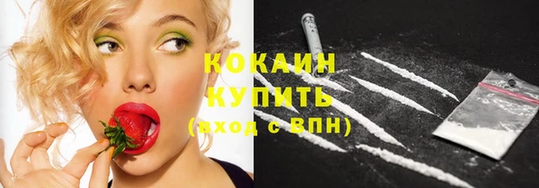 ПСИЛОЦИБИНОВЫЕ ГРИБЫ Лагань