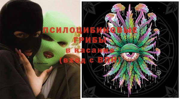 герыч Ладушкин