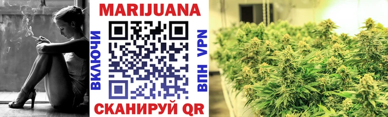 Купить где  Орехово-Зуево  Конопля OG Kush 